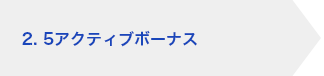 2. 5アクティブボーナス