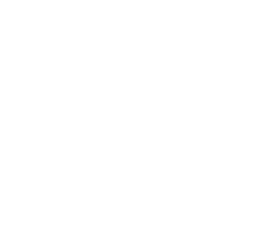 ニナファームジャポン サンテアージュ OX-288 180粒入 健康用品 安い セール オンライン