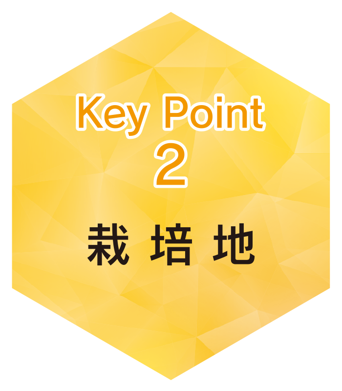 key2