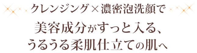 クレンジング×濃密泡洗顔で美容成分がすっと入る、うるうる柔肌仕立ての肌へ