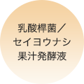 林檎果実培養細胞エキス