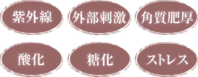 紫外線 外部刺激 角質肥厚 酸化 ストレス