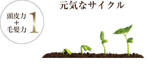 元気なサイクル