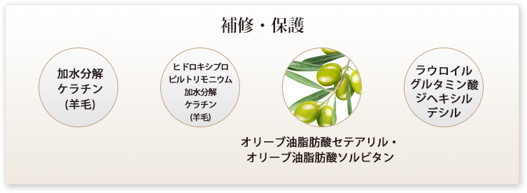 補修・保護