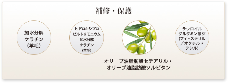 補修・保護
