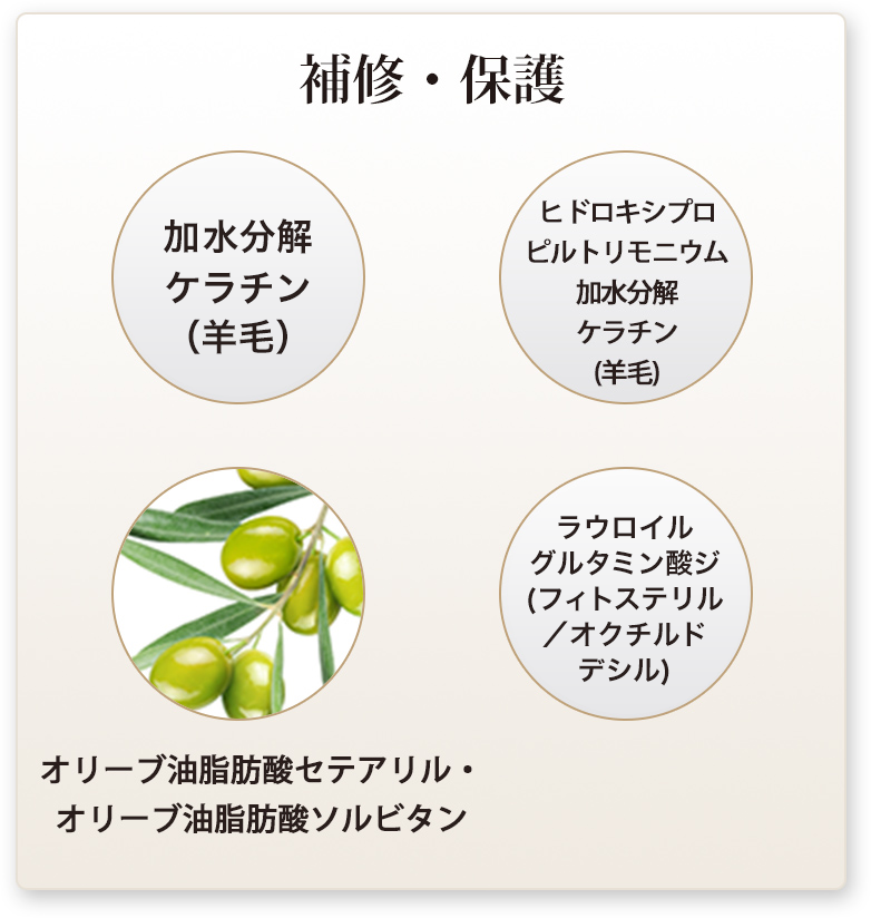 補修・保護