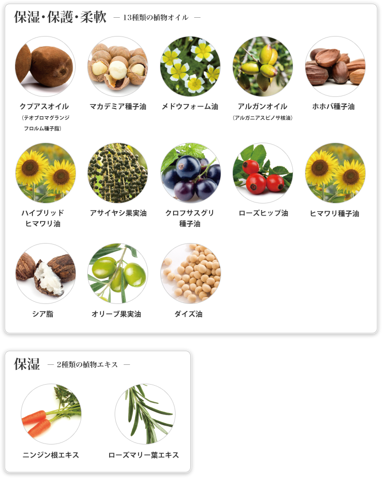 保湿・保護・柔軟 13種類の植物オイル 保湿 2種類の植物エキス