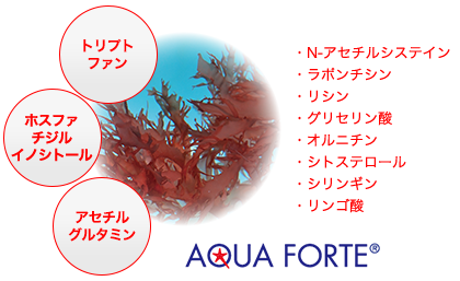 AQUA FORTE