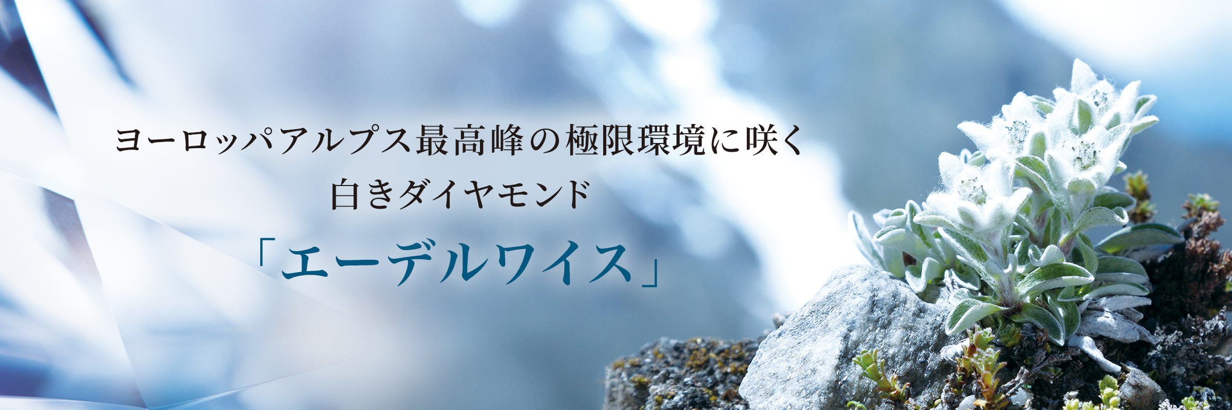 アルピニスト サイエンス