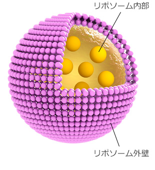 アドバンストデリバリーシステム