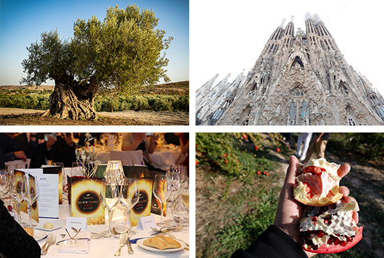 フランス研修旅行